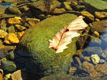棗陽(yáng)房產(chǎn)局官網(wǎng)，了解房產(chǎn)信息的首選平臺(tái)