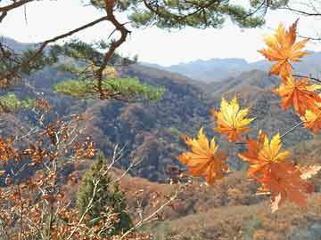 一個(gè)月嬰兒咳嗽怎么辦？全面解析嬰兒咳嗽原因與應(yīng)對(duì)之策